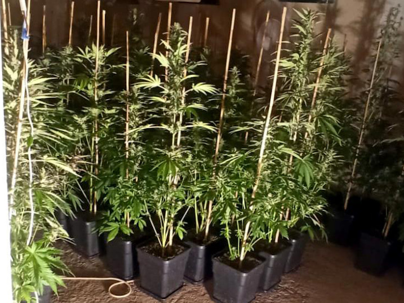 Laboratorija Prokuplje hapsenje 1 foto MUP