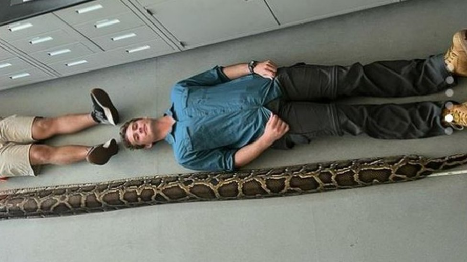 130659743 gladesboys nc