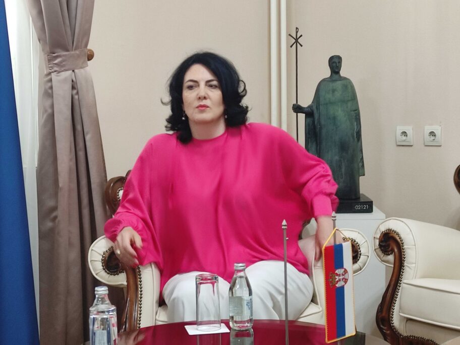 Gradonačelnica: U Nišu niko neće da radi fizičke poslove, "uvozimo" strance 8 dragana sotirovski foto ljubica jocic scaled