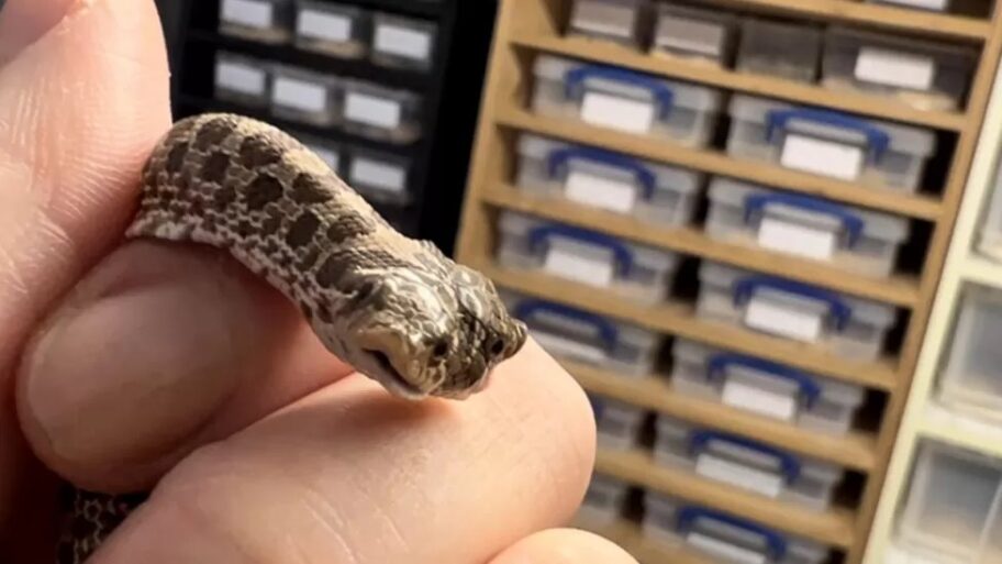 130832302 5ebdb8de 9819 41b2 be5d 1af7e164b76d