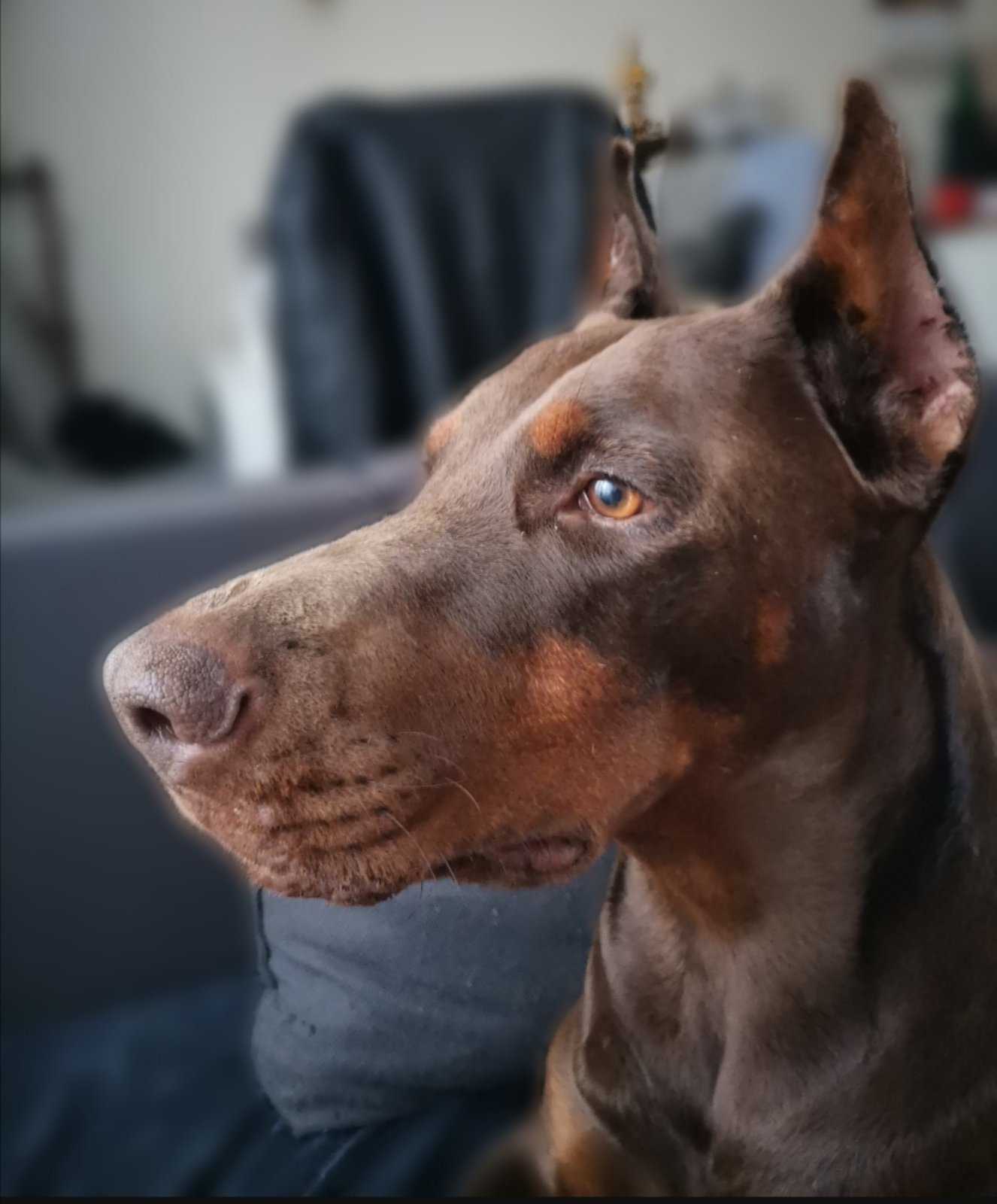 IMG-ba0411d0578124e365089a4340f11781-V