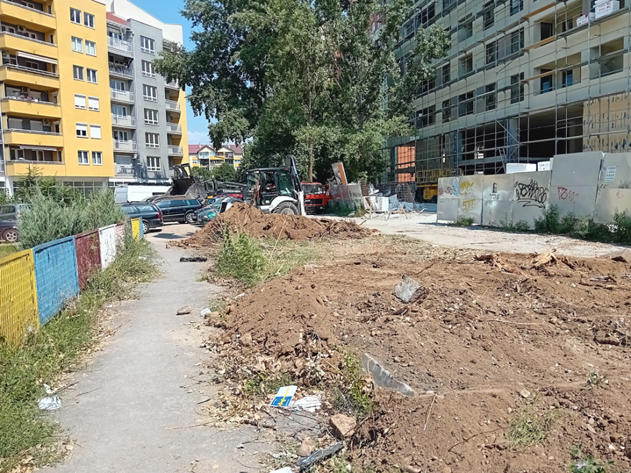 Građani zabrinuti, drveće na Bulevaru Nemanjića u Nišu trajno ukonjeno 13 seca