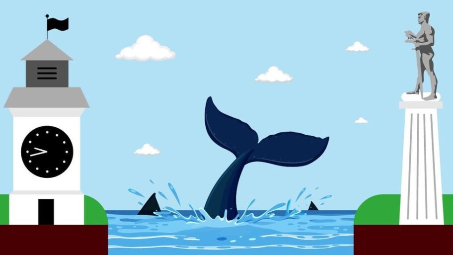 130870082 8d72f02a 5adc 4a7c ac23 b62ae11a7745