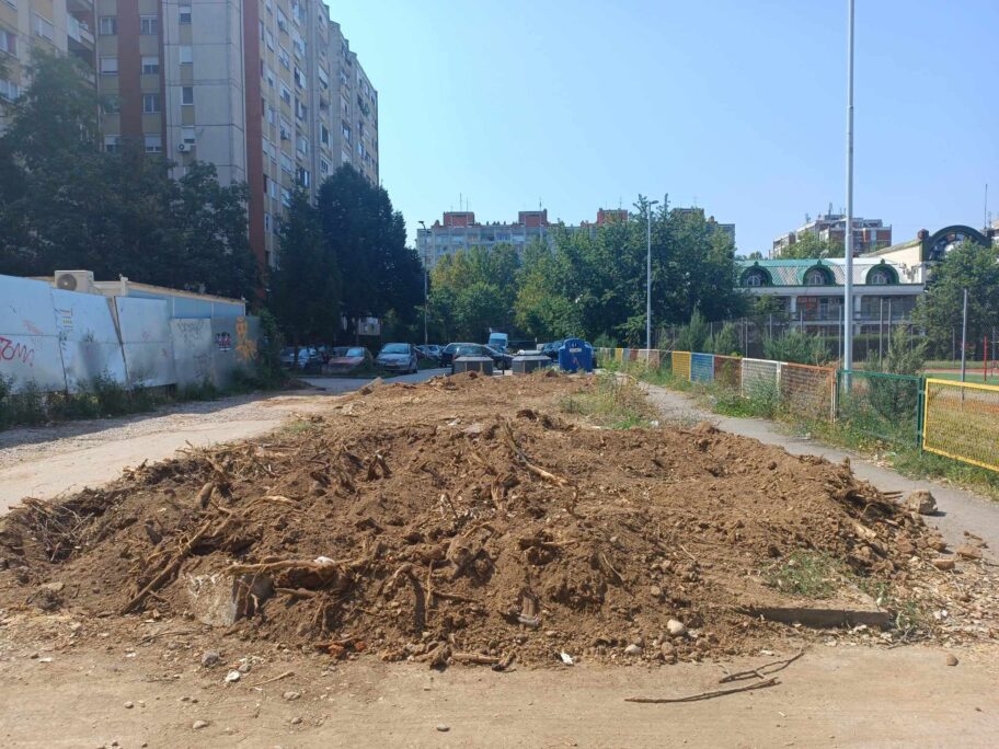 "Seče nije bilo" - "Mediana" ćuti, a pres služba gradonačelnice odgovara umesto njih 12 stabla zona 3