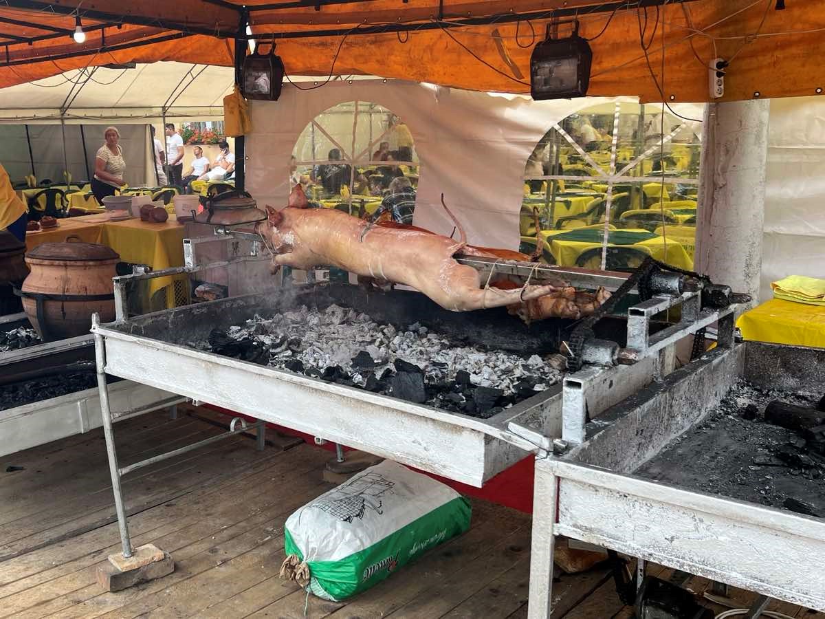 Pečenje u Guči OzonPress