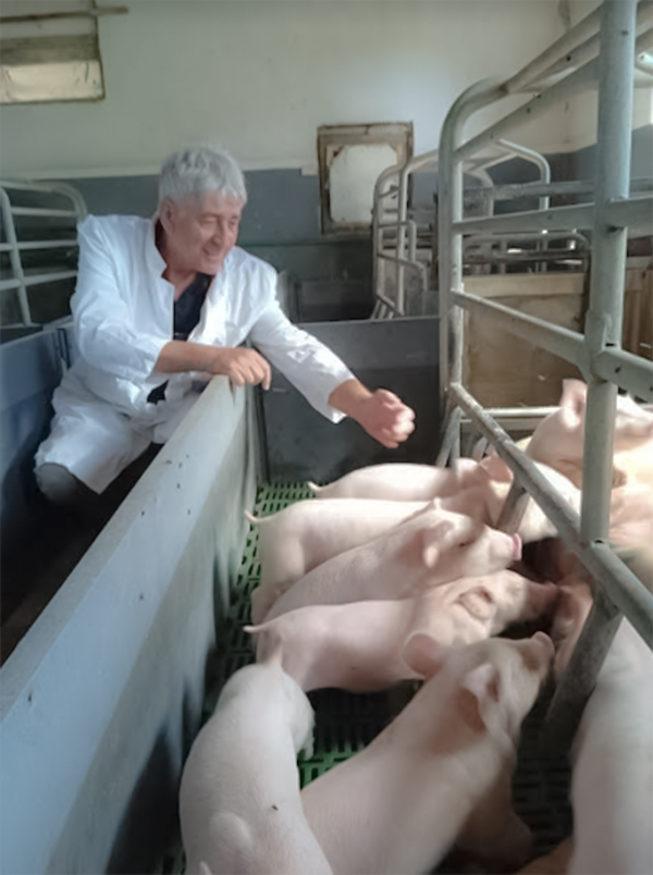 Veterinar Jelačić prasad