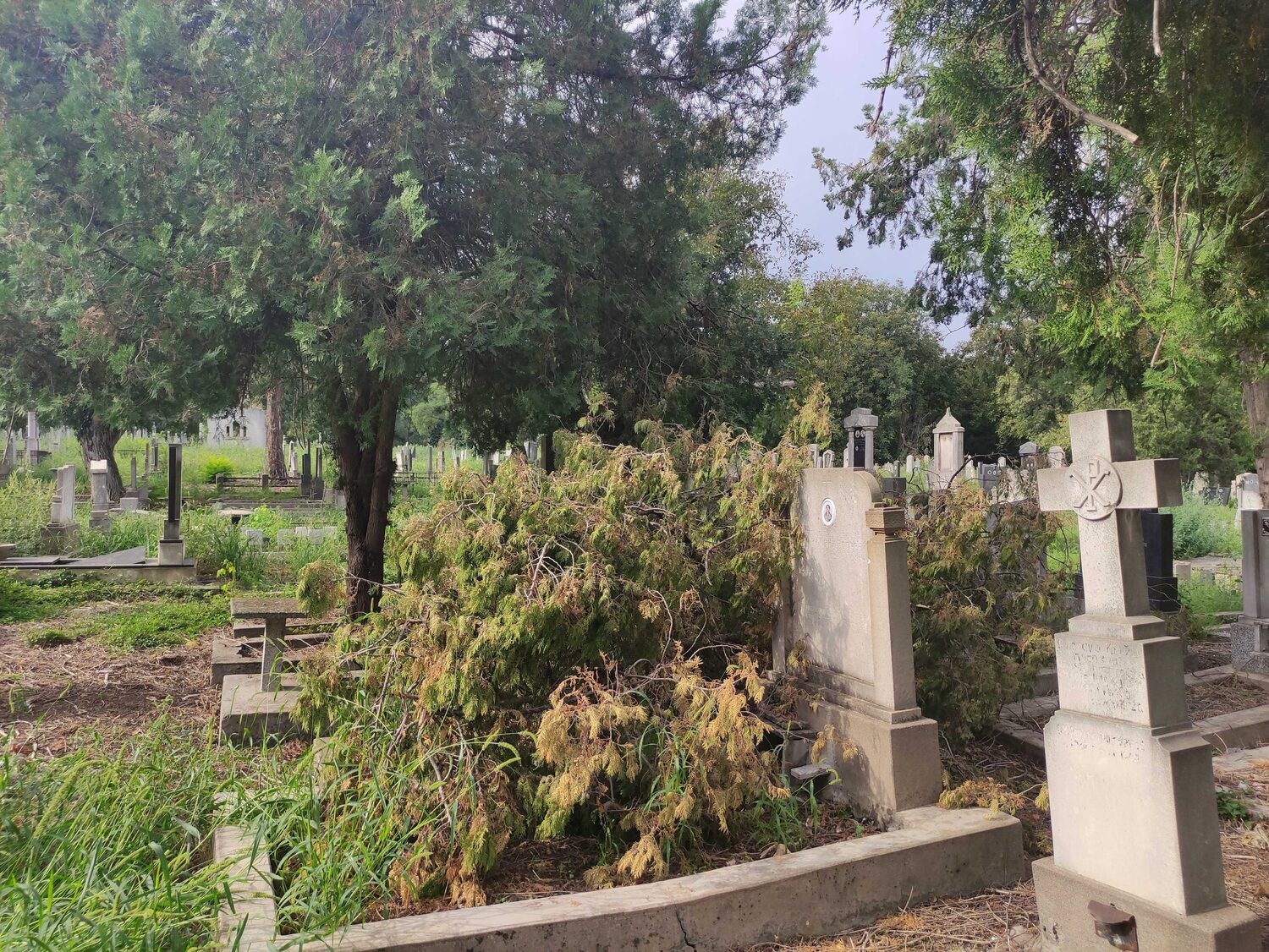 staro groblje zanemareno