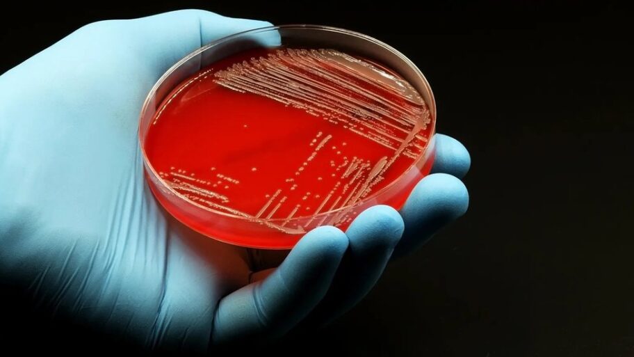 130947761 07381ddd 860d 4cbd bc5f beffb3c111be