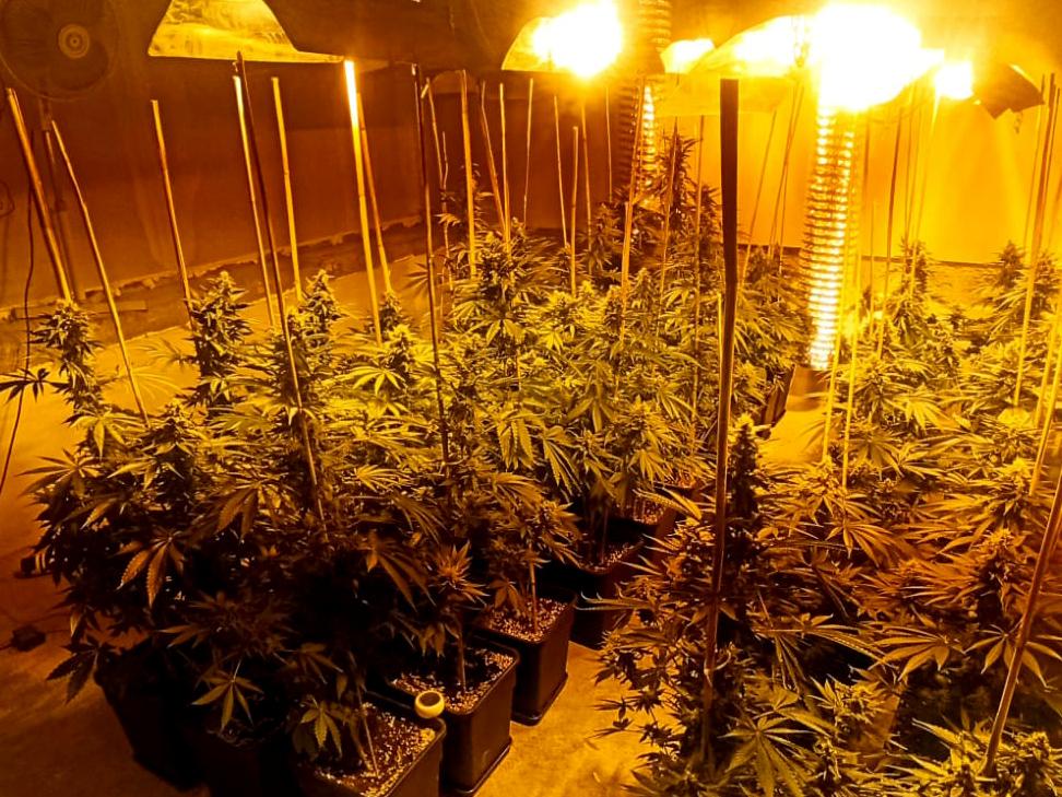 Laboratorija Prokuplje hapsenje foto MUP