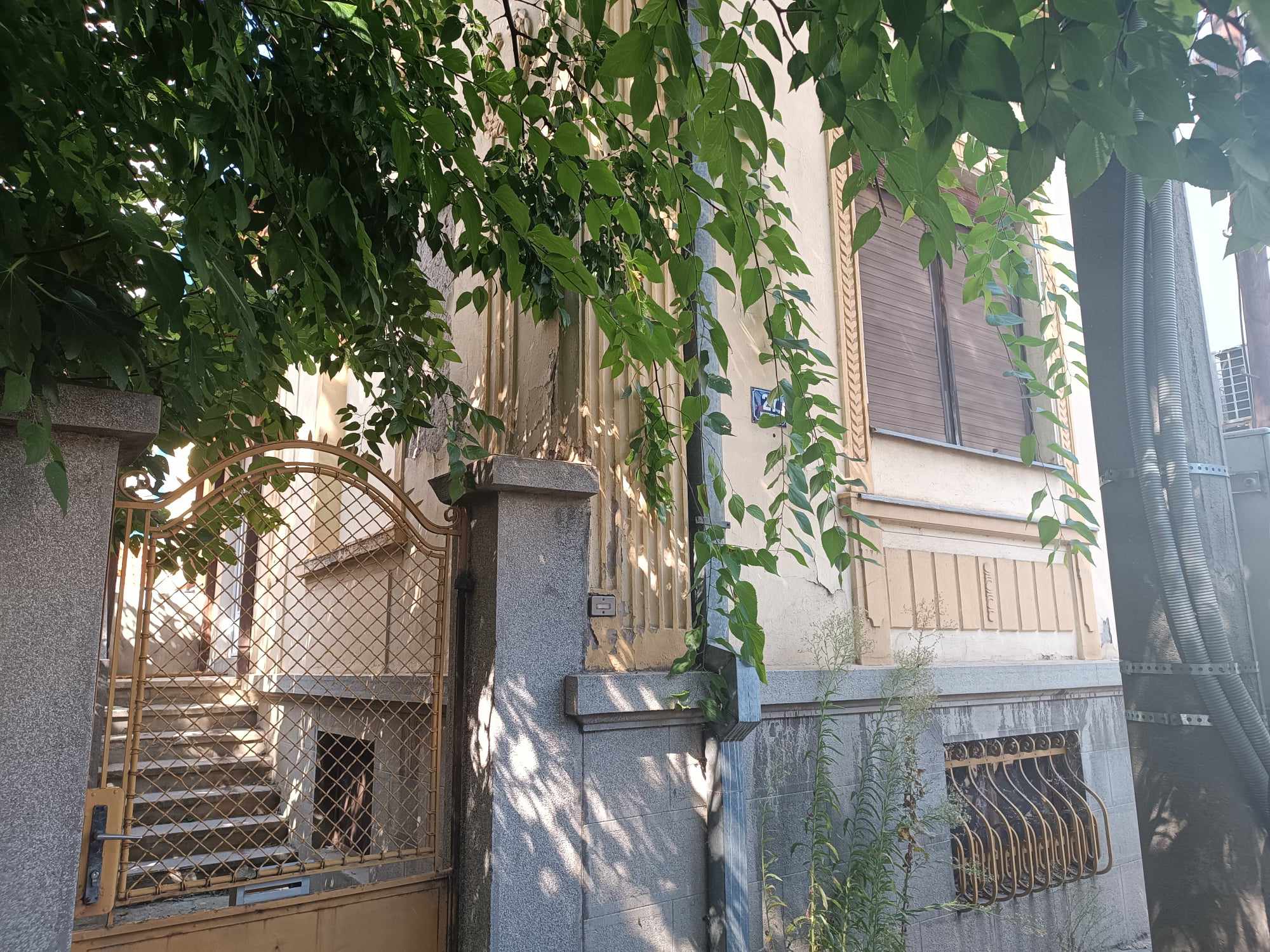 tr 19 milentijeva 27