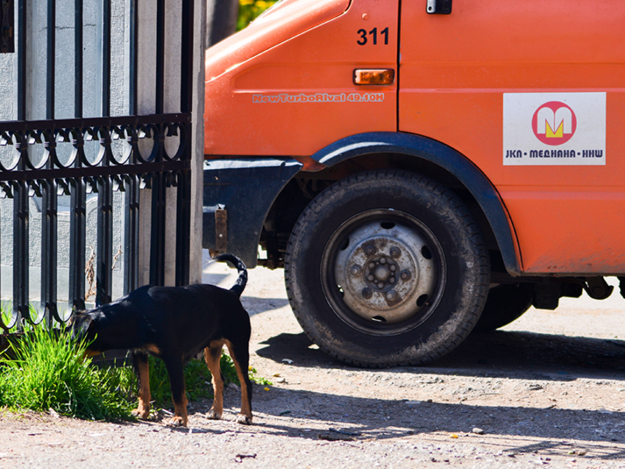 Niška JKP "Mediana" kupuje pet novih službenih automobila 14 vanja keser mediana