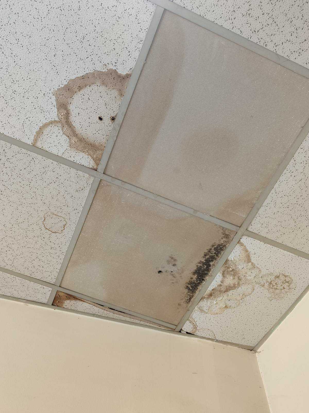 IMG-60d8213b6be90ca99681292b4602a848-V