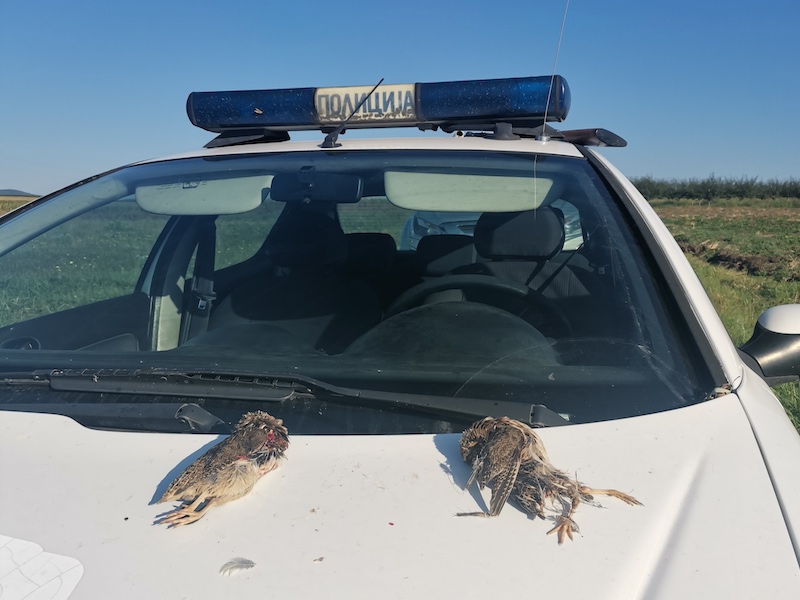 policija i ubijene ptice
