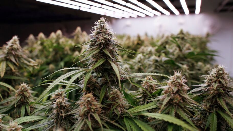 131253540 85203c182a5034a4e8b01d693e01a55f6ffc9bca