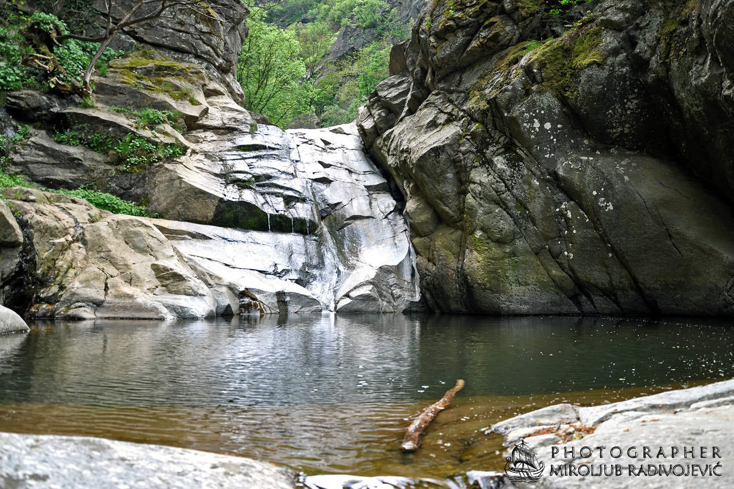 KANJON VUČJANKE aa.