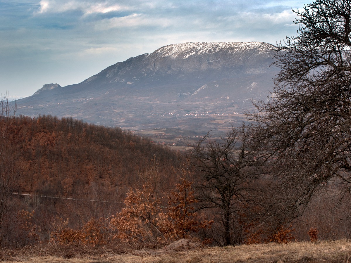 BABIČKA GORA (1)