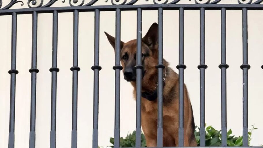 131337406 affe21d8 dd94 4a84 b7d3 ca4ce1e0883a