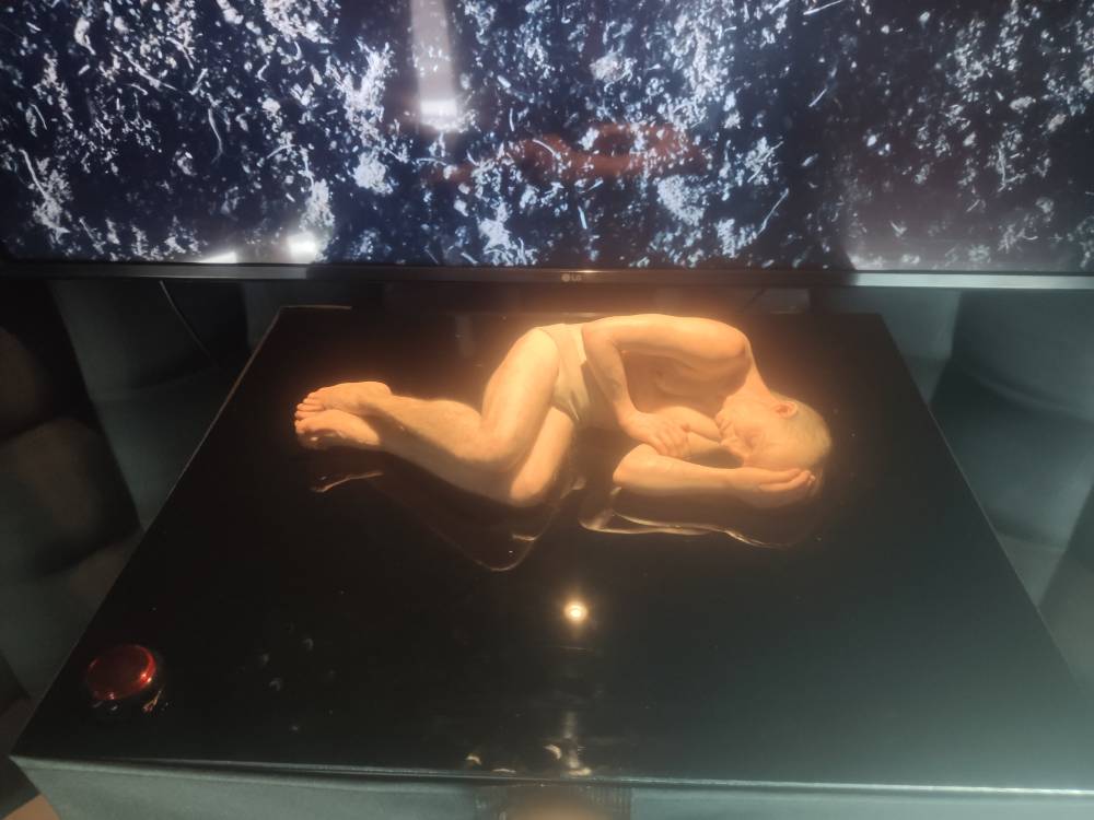 DAni nauke nIš (2)