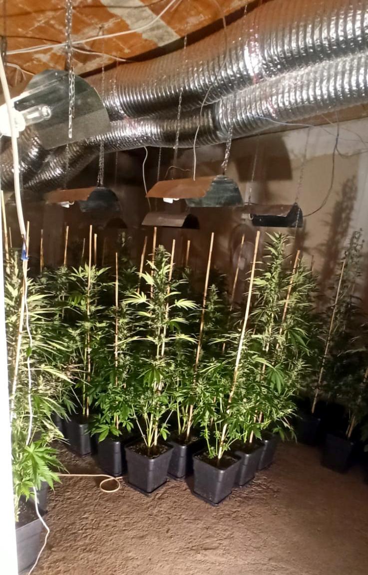 Laboratorija-Prokuplje-hapsenje-1-foto-MUP