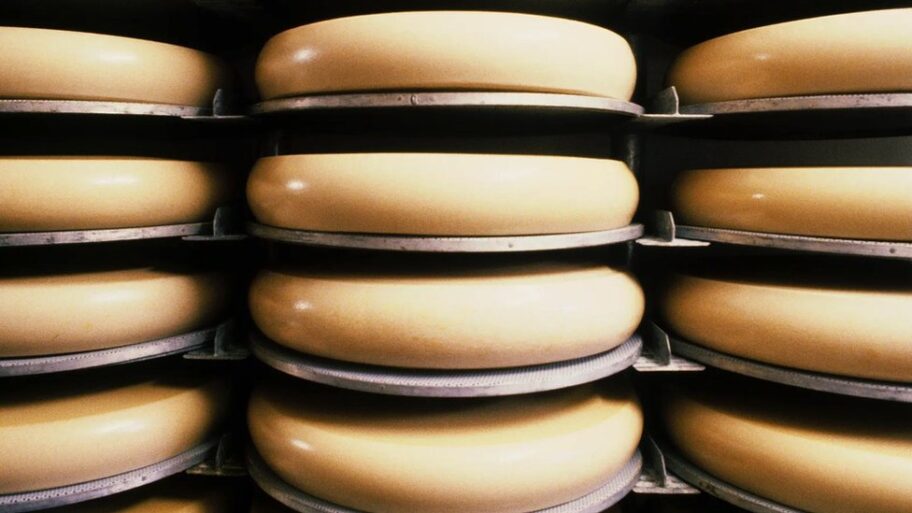 131051377 c9c04ebb 3efd 4787 bda7 eec1aa448837