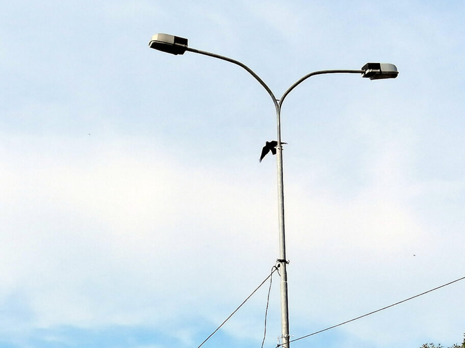 Osvetljenje u Nišu povereno privatniku za 13,5 miliona evra na 15 godina - svetiljke nove, uštedu tek očekuju 3 rasveta nis foto citalac