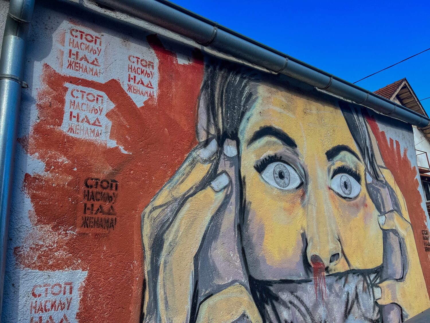 nasilje nad zenama KOSTA 23 scaled