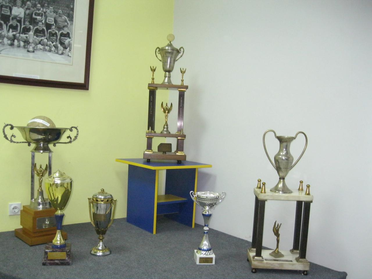 pehari zeleznicar, foto ljubica jocic