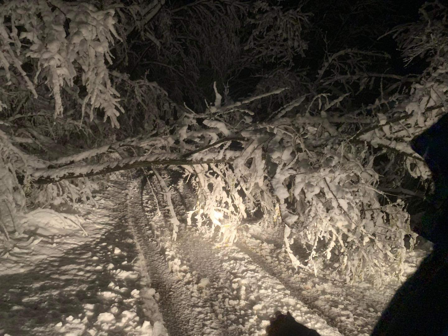 svrljig, sneg, foto citalac