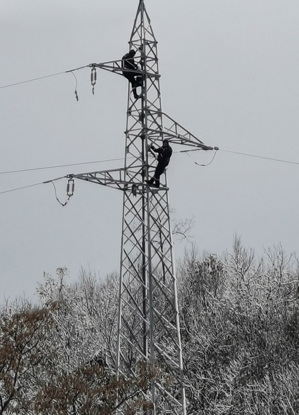 svrljig, sneg, foto elektrodistribucija 1