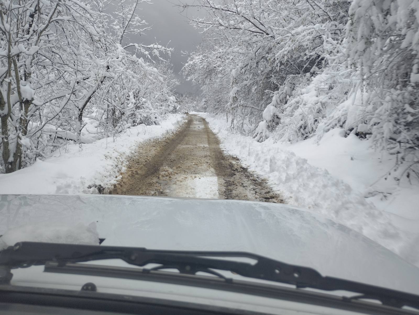 vlasotince, sneg, foto opstina vlasotince