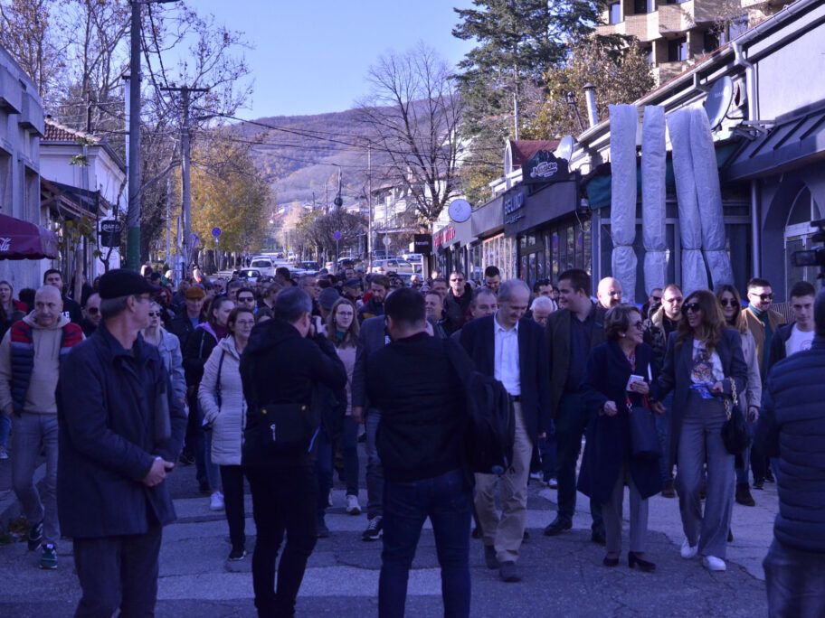 "Promene su neophodne i do njih se dolazi izlaskom na izbore" - poruka sa tribine “ProGlas” 14 photo001