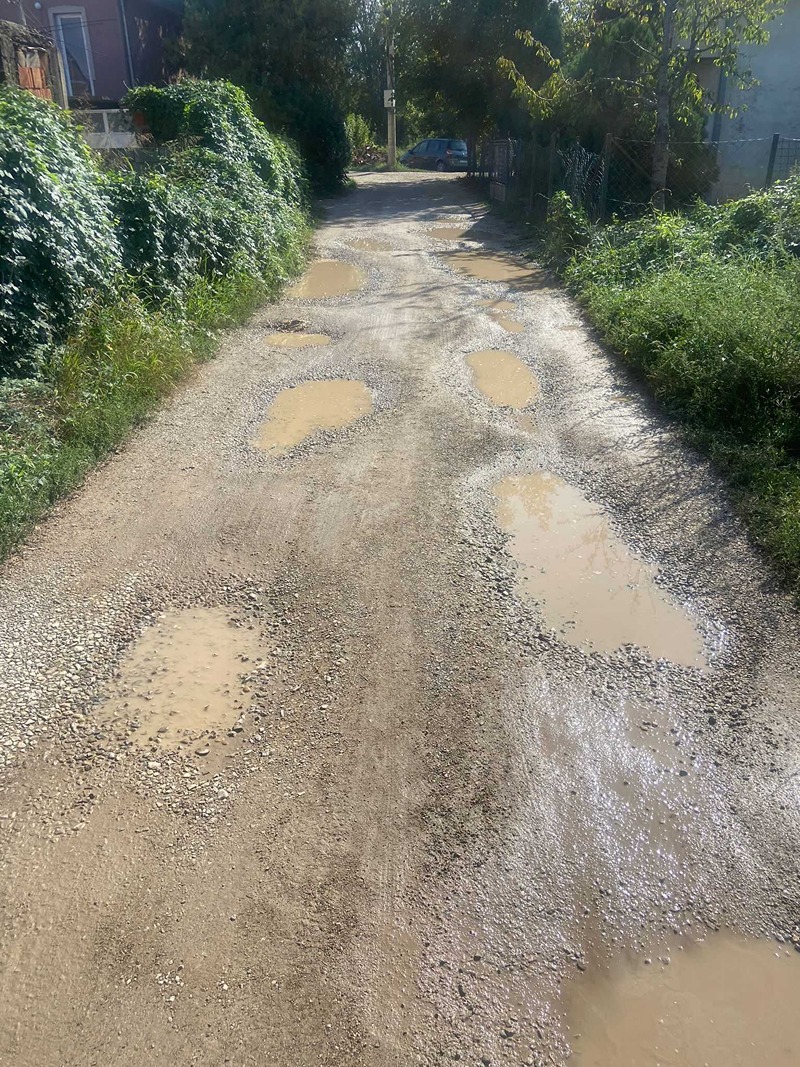 broj 6 vase koljevića