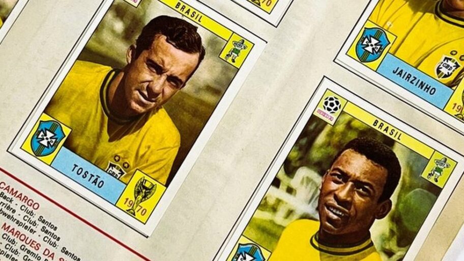 131915007 paninibrazil