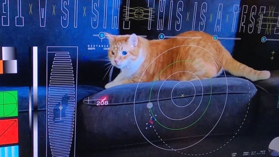 132089127 nasa space cat video lasers