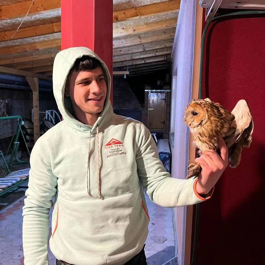 Šumska sova2; foto: Zoo planet