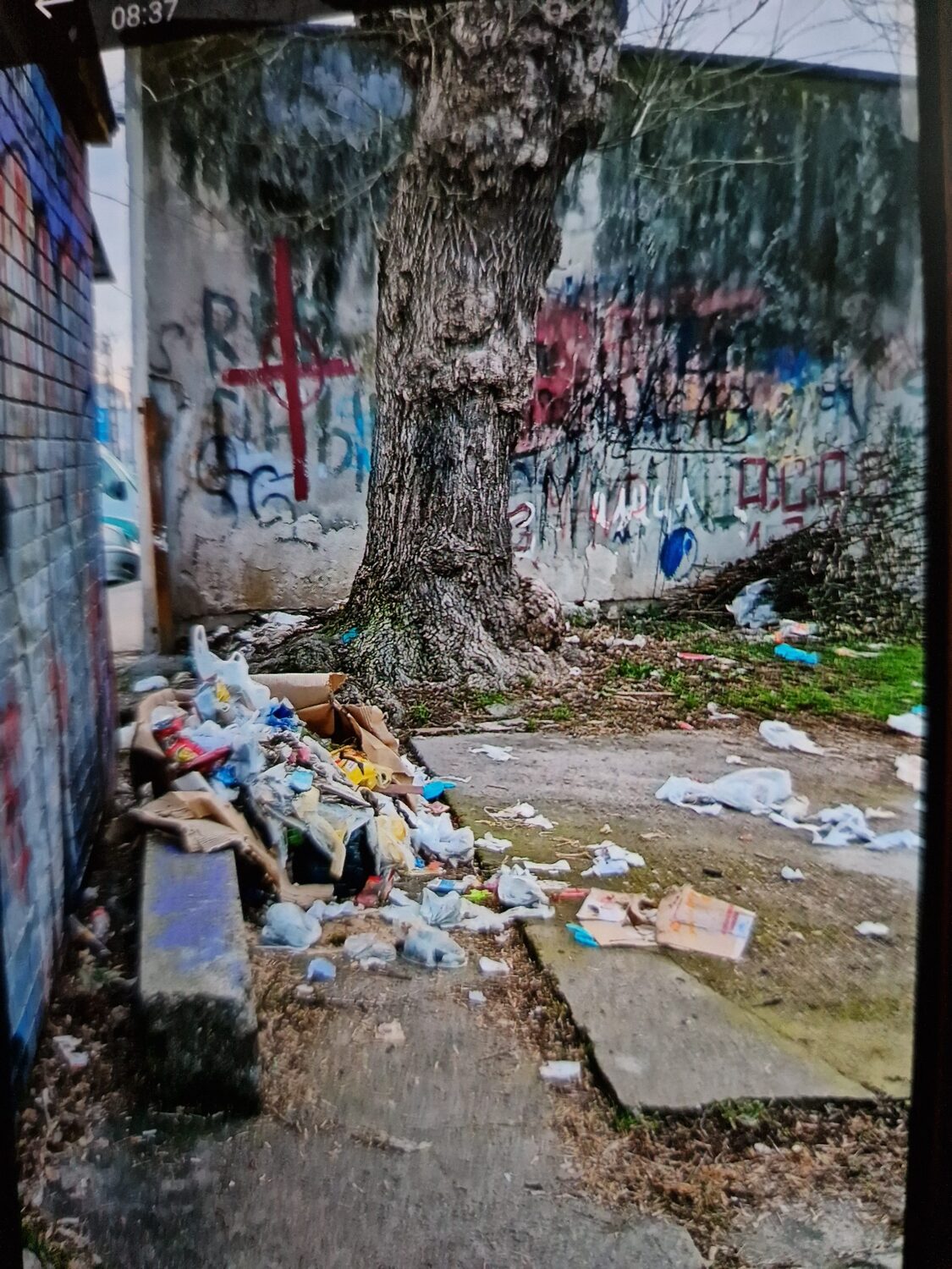 Konstantna divlja deponija