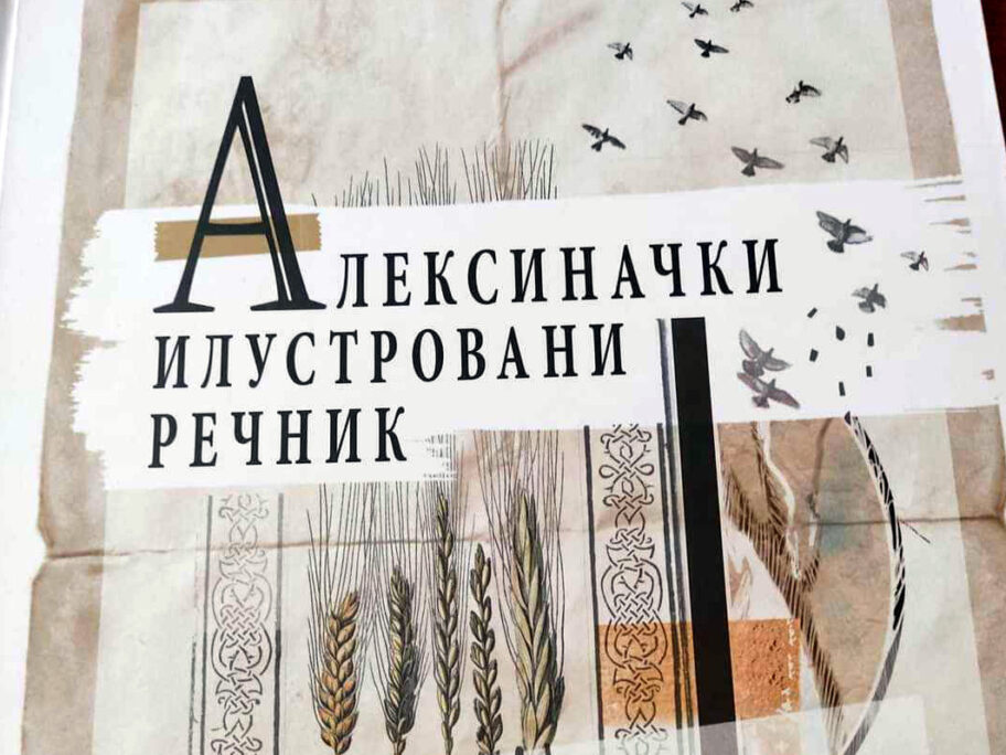 Aleksinacki ilustrovani recnik foto Milos Paovic