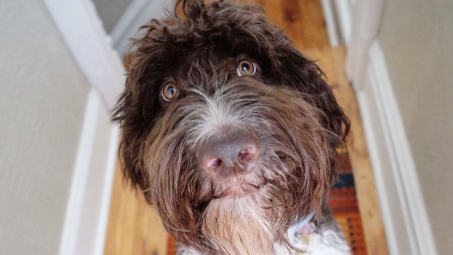 132208482 screenshot2024 01 04at2 24 21pm