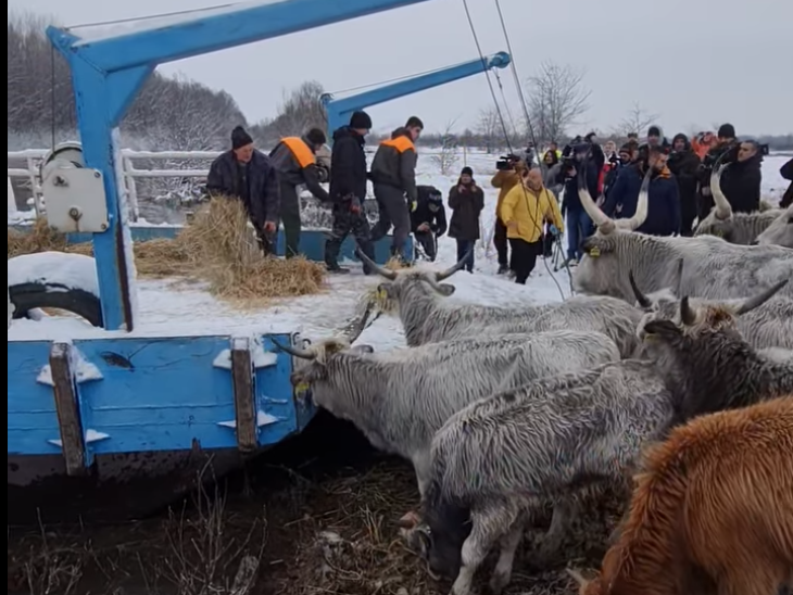 Screenshot 2024 01 09 at 14 15 03