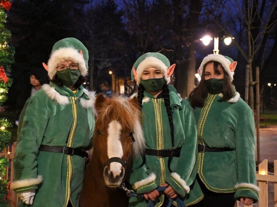 271138331 454293372991211 8811990776867137972 n 1