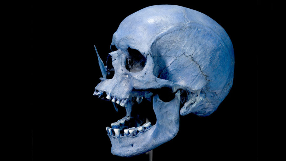 132267306 976 skull