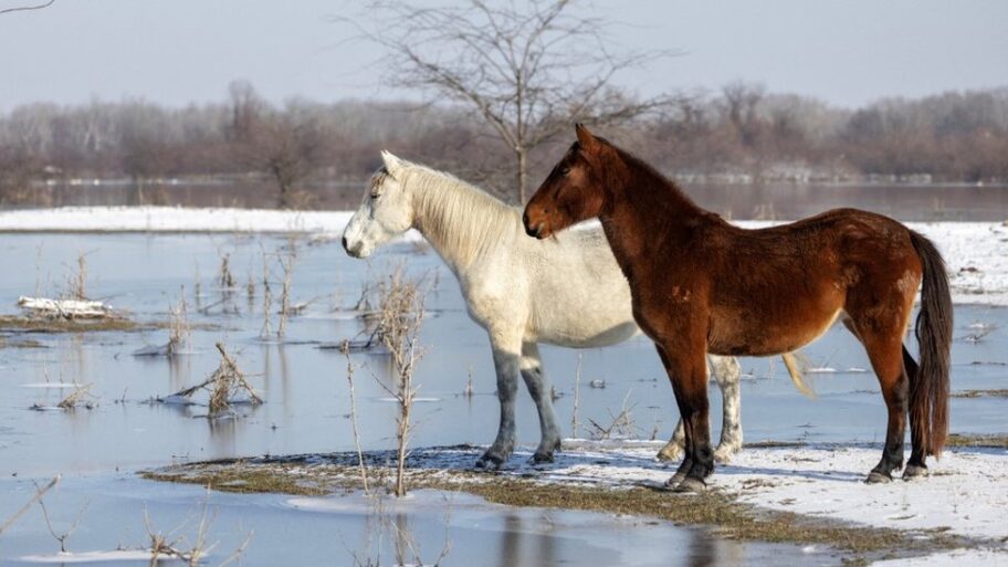 132285962 80b4d59fbb73de09281d790f9e1a9780d65ea9e0