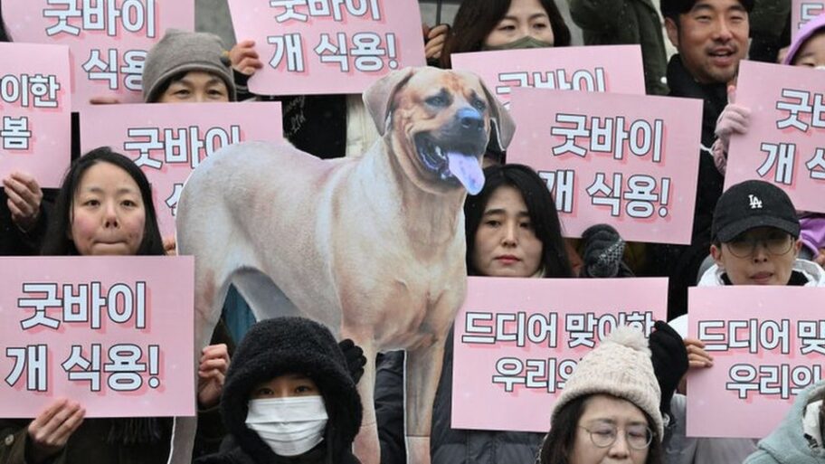 132295594 dog meat protest getty