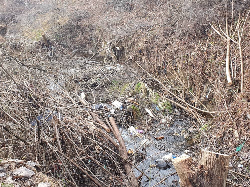 Gabrovačka reka (1)