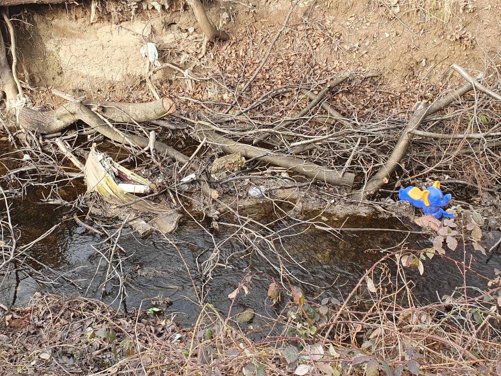 Gabrovačka reka (2)