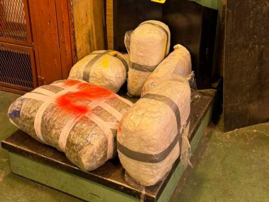 MUP Marihuana Gradina