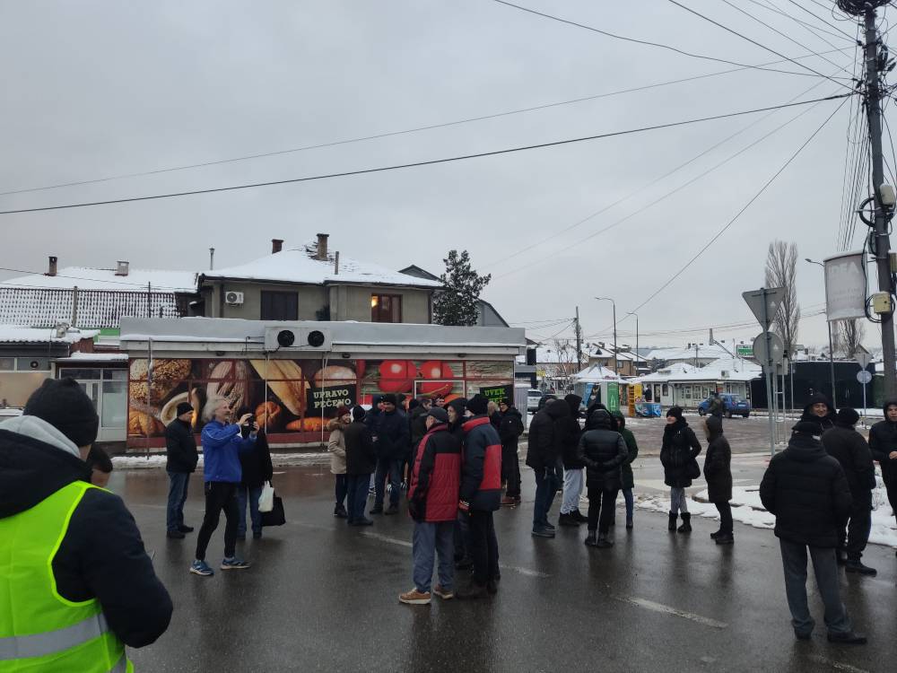 Protest delijski vis (2)