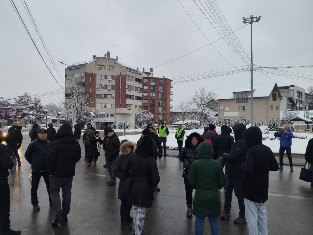 Protest delijski vis