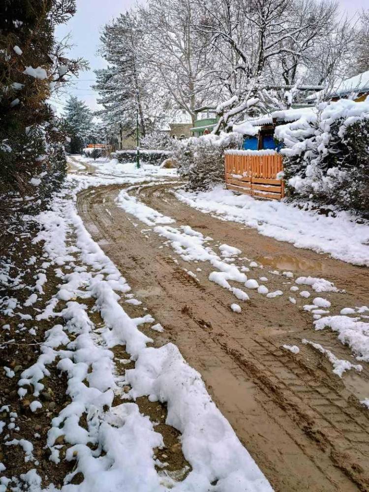 naselje Milka Protić