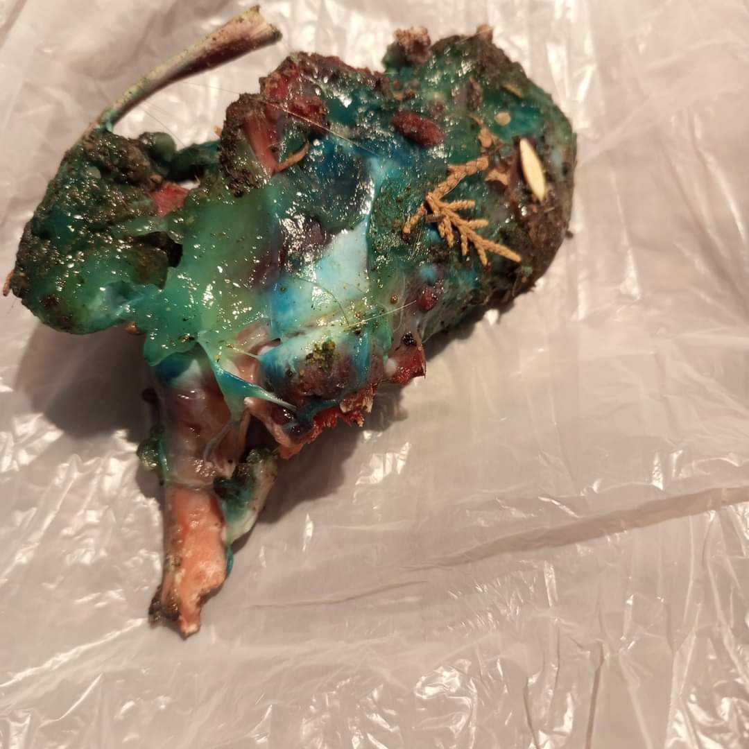 FB_IMG_1706027736827